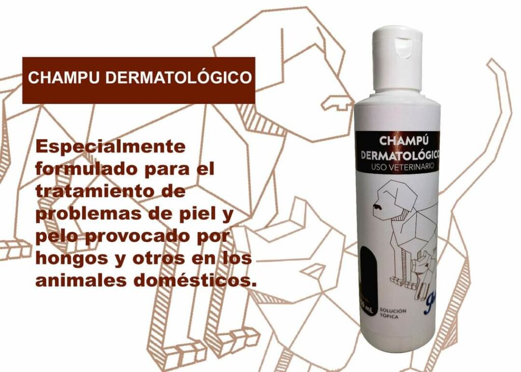 WhatsApp Image 2024-05-24 at 1.20.25 PM